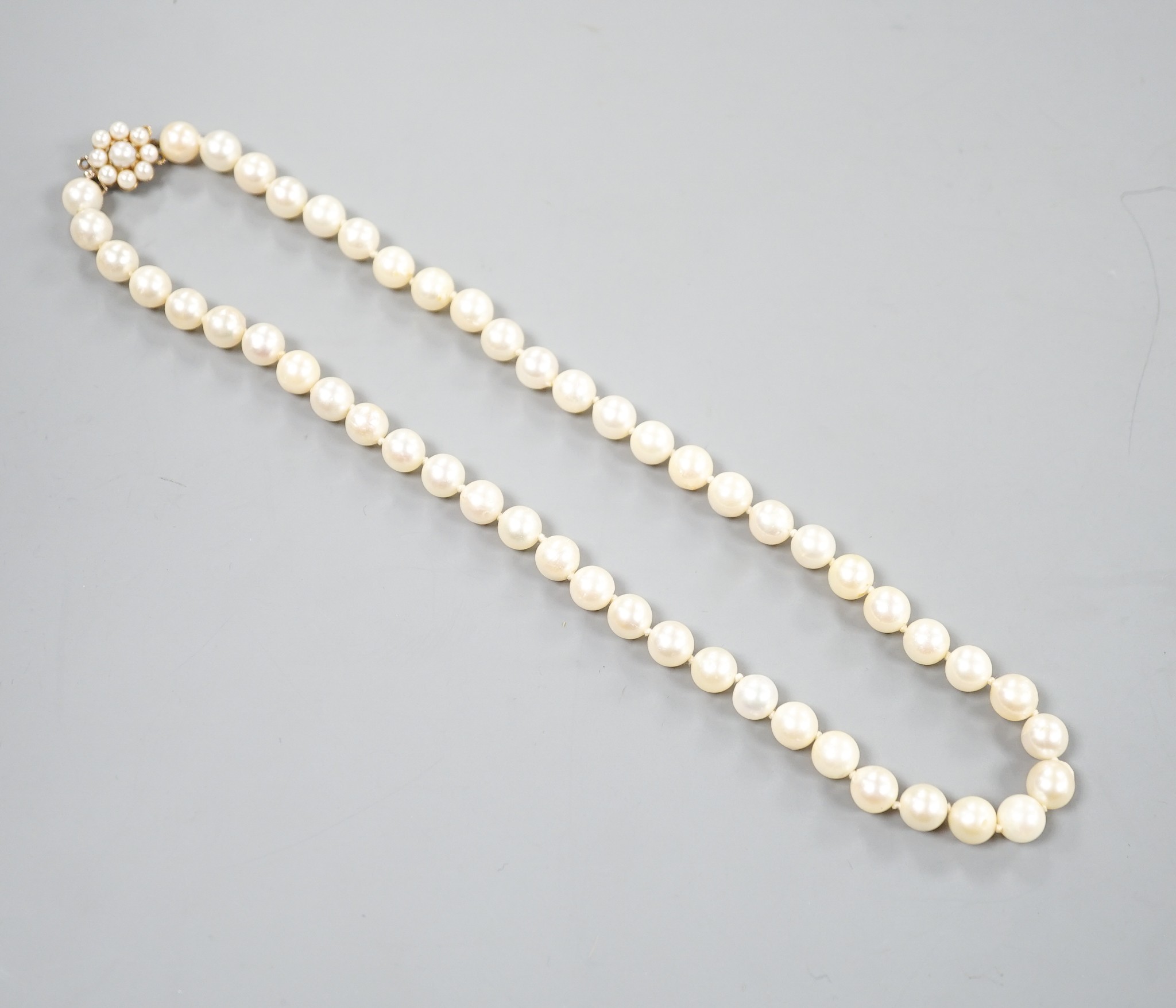 A single strand cultured pearl necklace, with 9ct and cultured pearl cluster set clasp, 43cm.